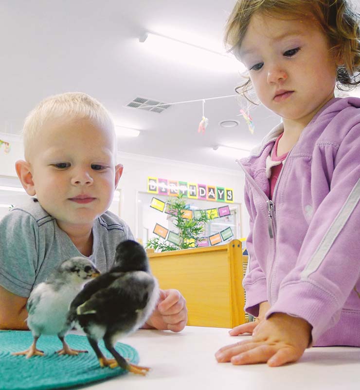 Children at Kate's Place looking at young birds